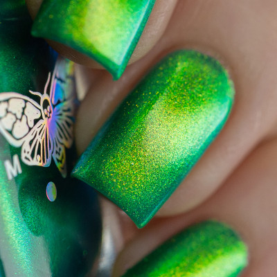 Yoshi