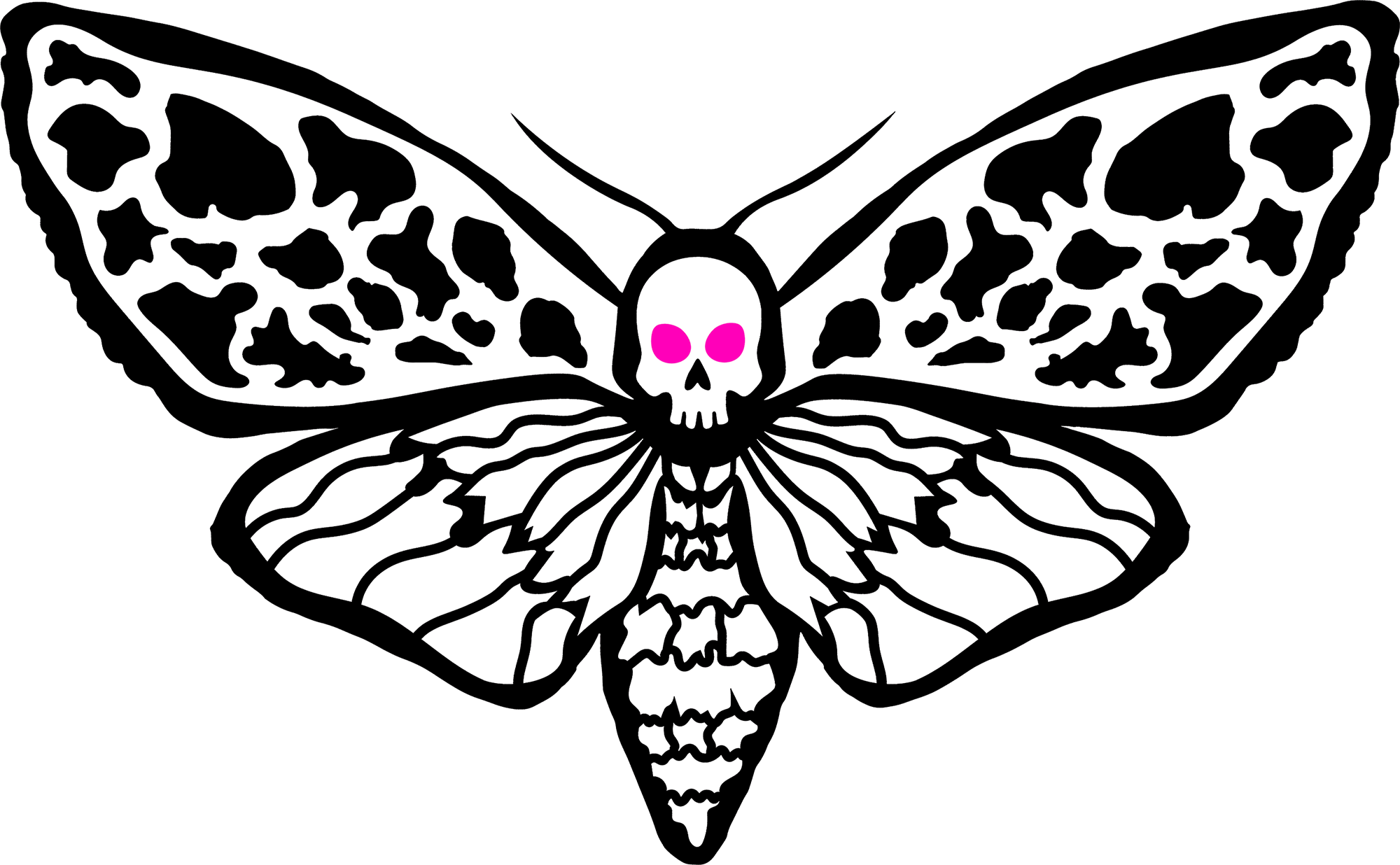MOTH.FUN