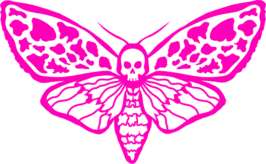 MOTH.FUN